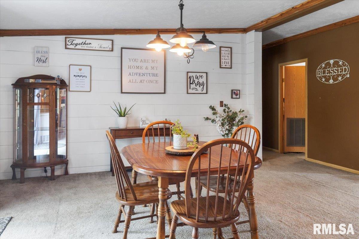 256 Boles Lane, Goreville, Illinois image 15