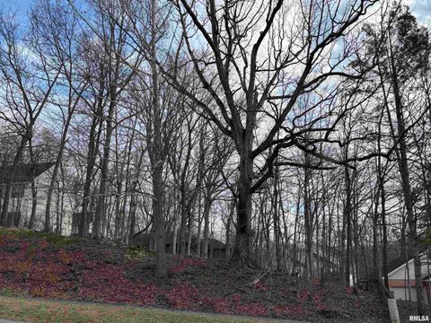 Vacant Land For Sale - 3612 Melissa Drive<br/> Springfield, IL 62711