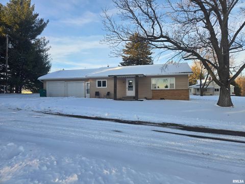 Homes For Sale - 110 W Mound Street<br/> Blandinsville, IL 61420