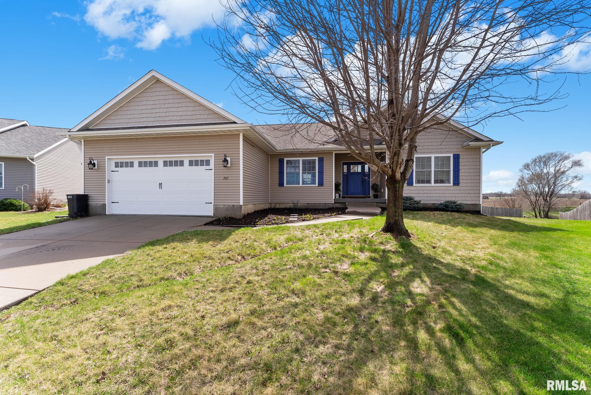 203 Stonebridge Place, Colona, Illinois image 2