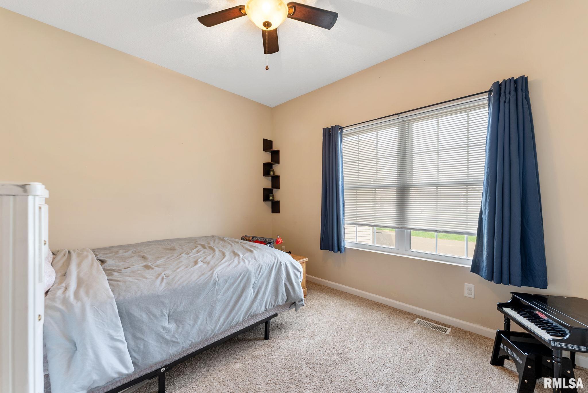 203 Stonebridge Place, Colona, Illinois image 19