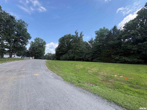 Vacant Land For Sale - LOTS 80 & 81 Luxor Lane<br/> Goreville, IL 62939