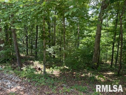 Vacant Land For Sale - 000 Wagon Creek Loop<br/> Creal Springs, IL 62922