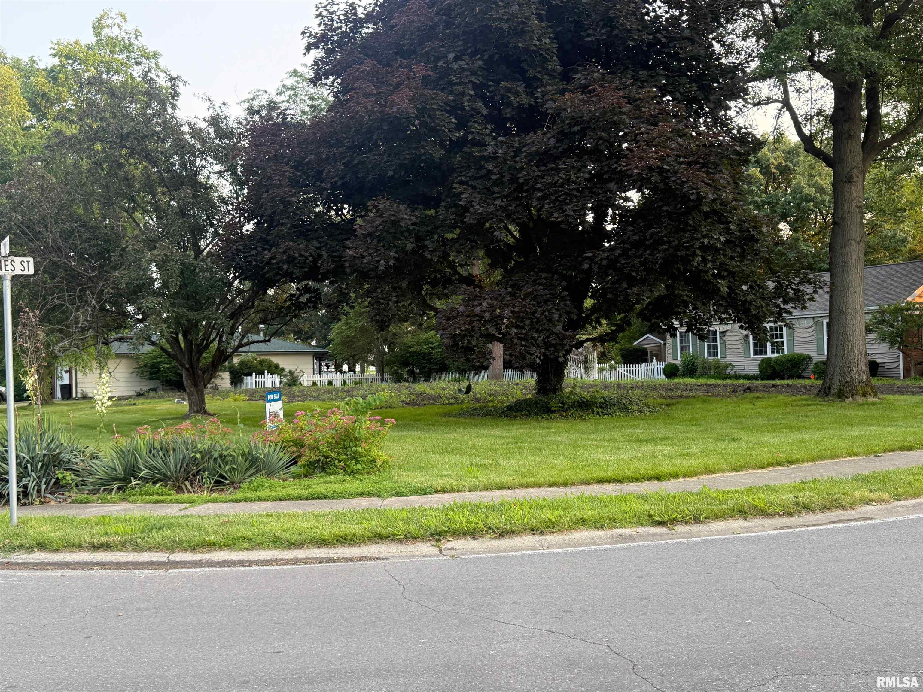 301 Casson Street, Williamsville, Illinois image 5