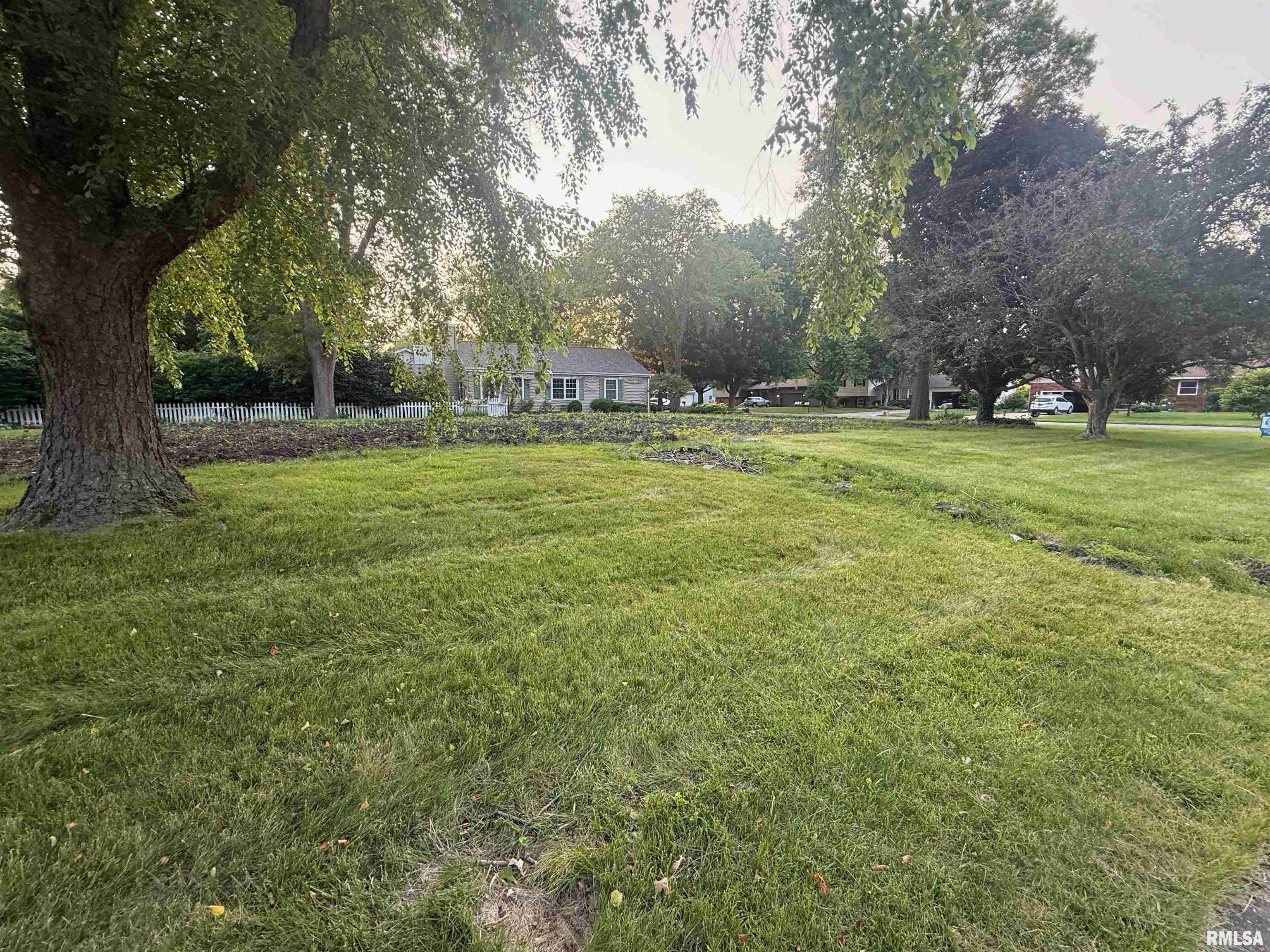 301 Casson Street, Williamsville, Illinois image 2