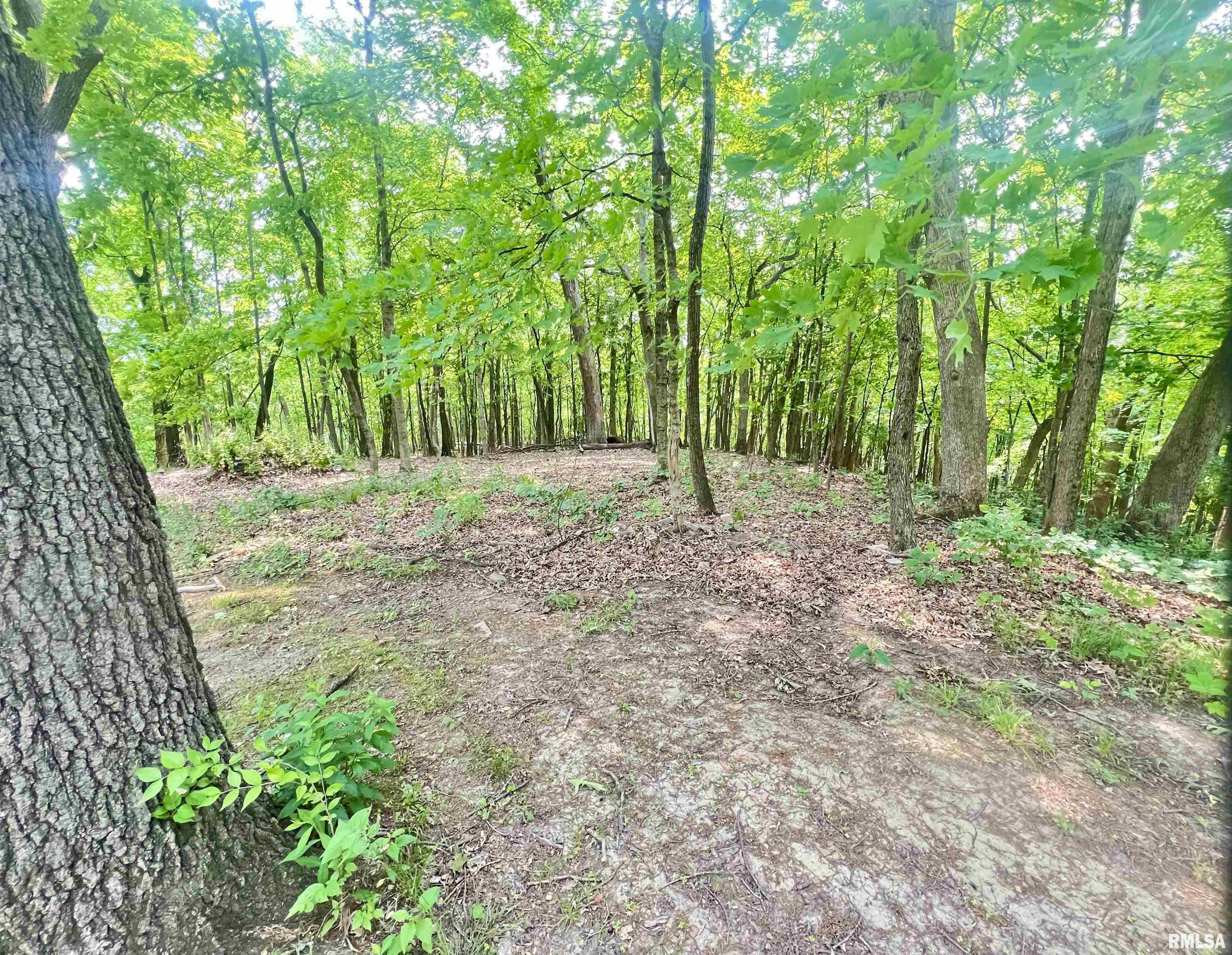 283 Old Germantown Road, East Peoria, Illinois image 42
