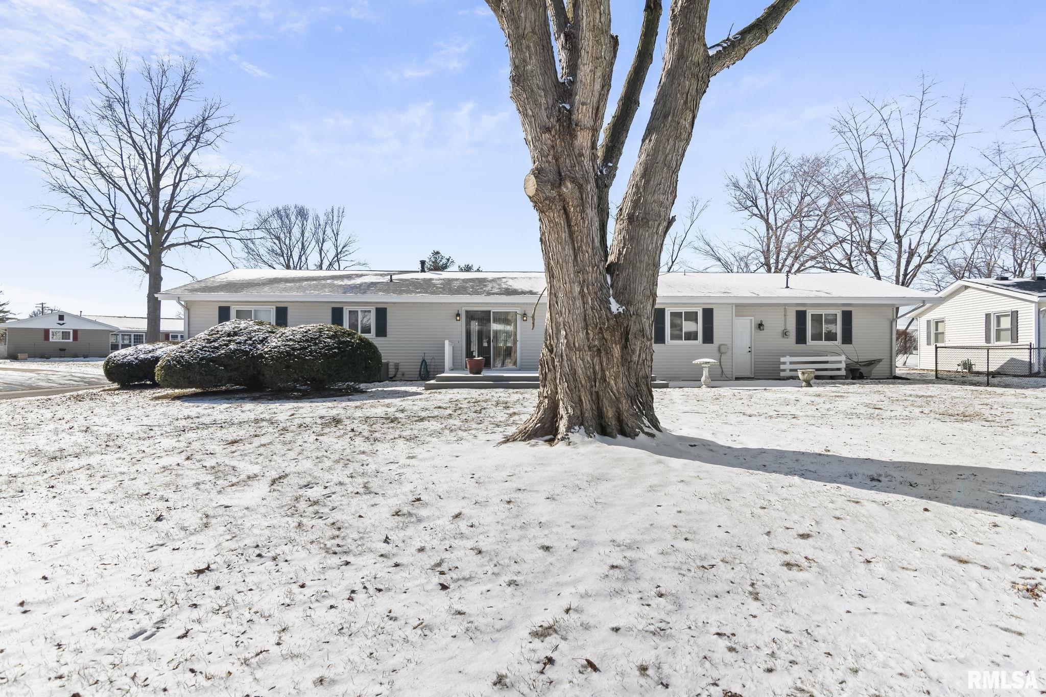 300 Carrie Lane, Chatham, Illinois image 6