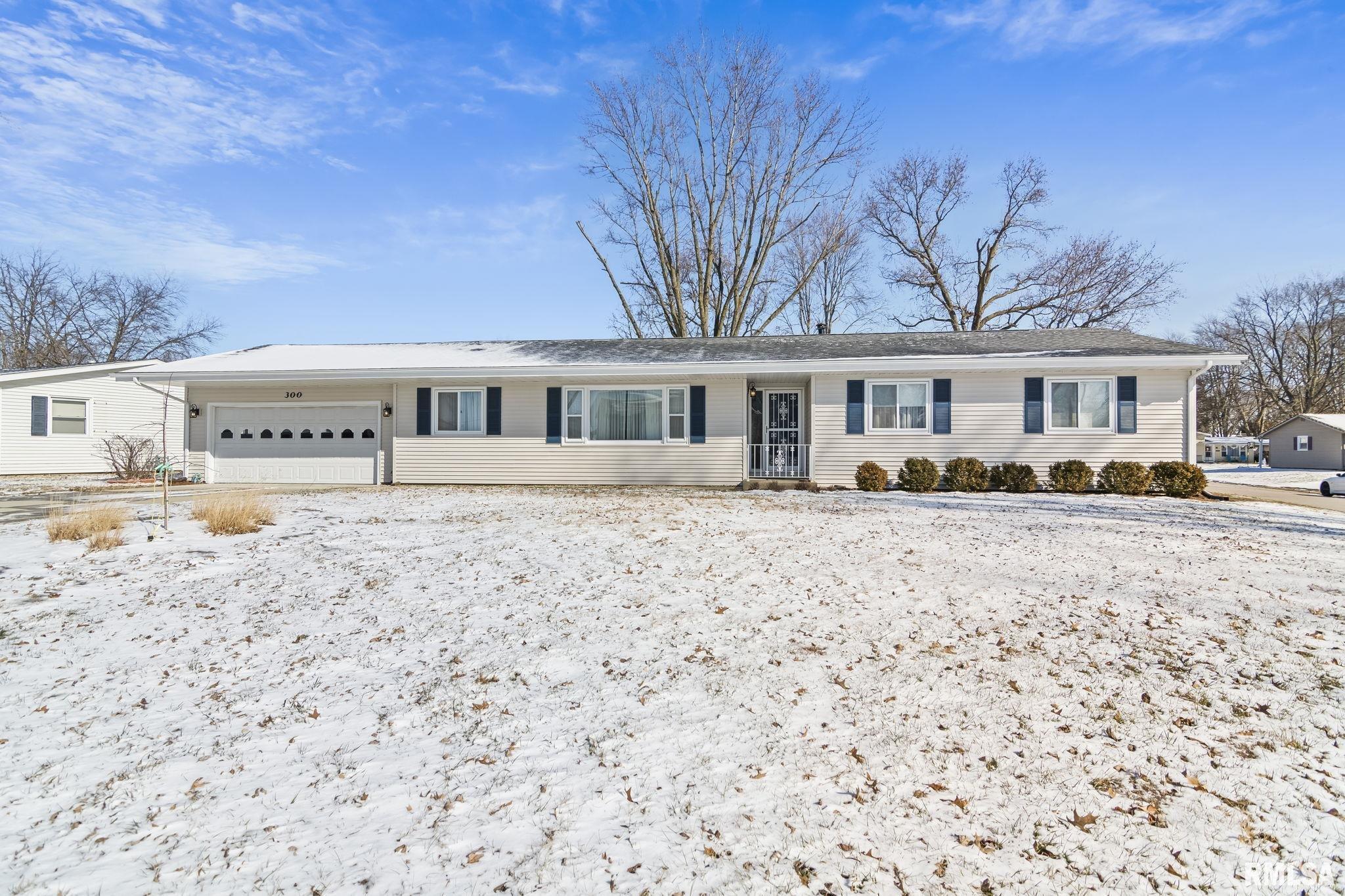 300 Carrie Lane, Chatham, Illinois image 3