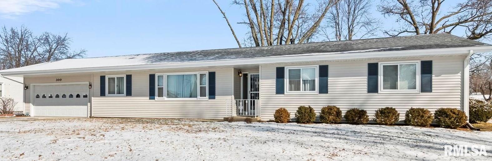 300 Carrie Lane, Chatham, Illinois image 1
