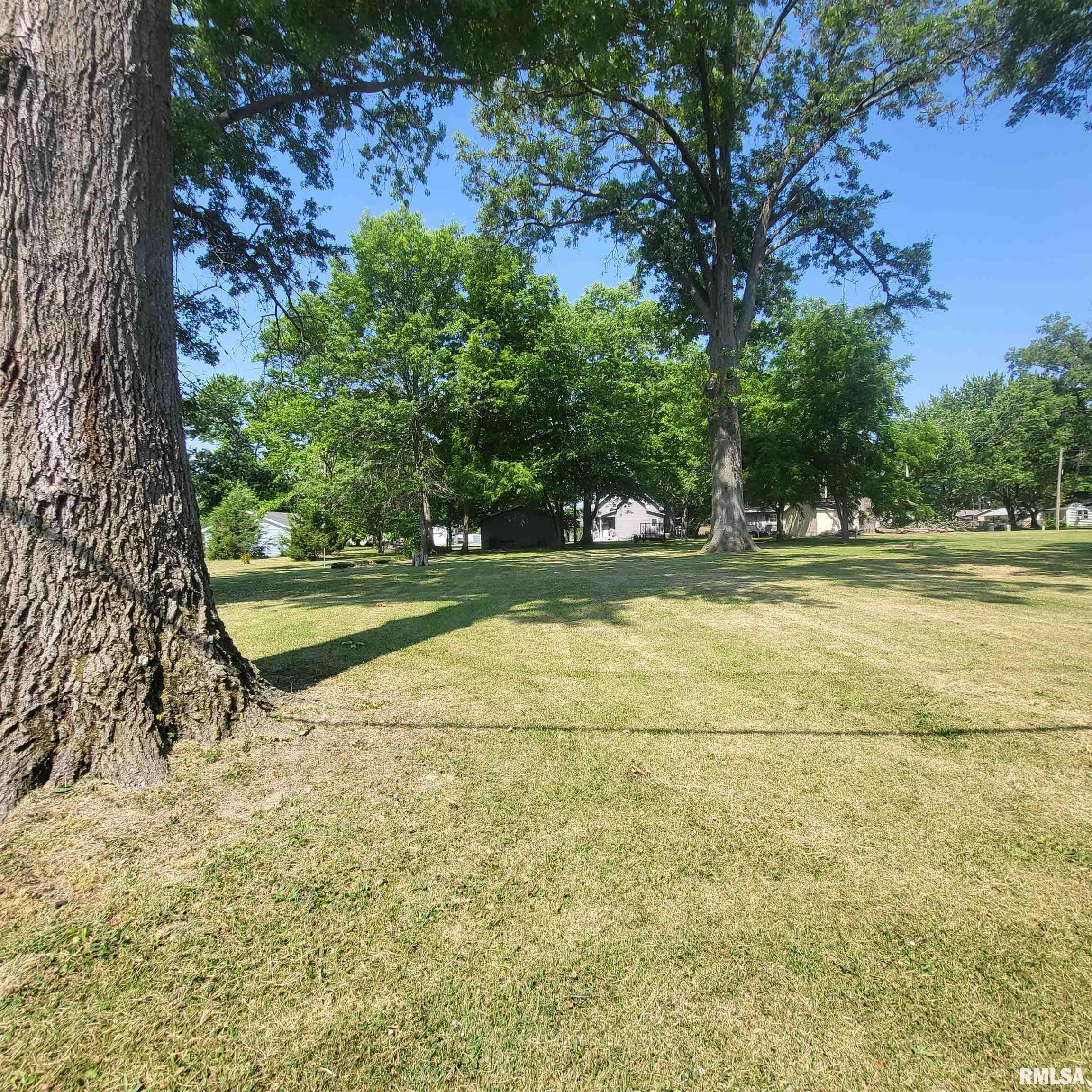 1021 N Dawley Street, Salem, Illinois image 5