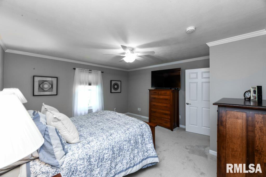 1029 W Tall Oaks Court, Bartonville, Illinois image 23