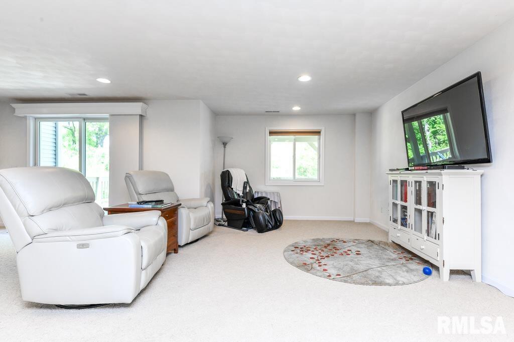 1029 W Tall Oaks Court, Bartonville, Illinois image 29