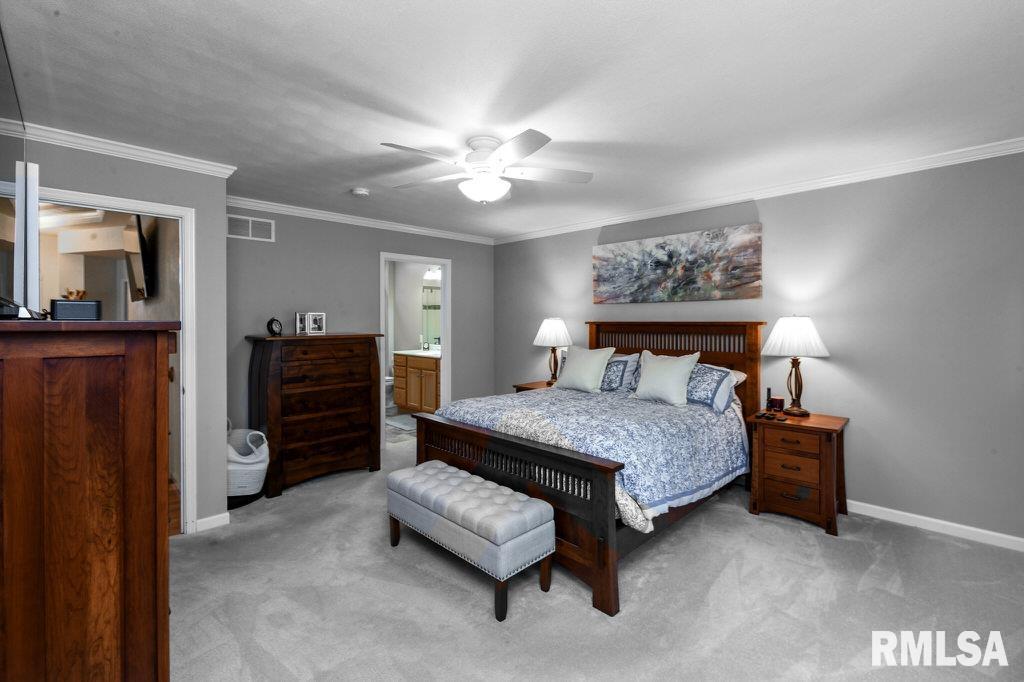 1029 W Tall Oaks Court, Bartonville, Illinois image 21
