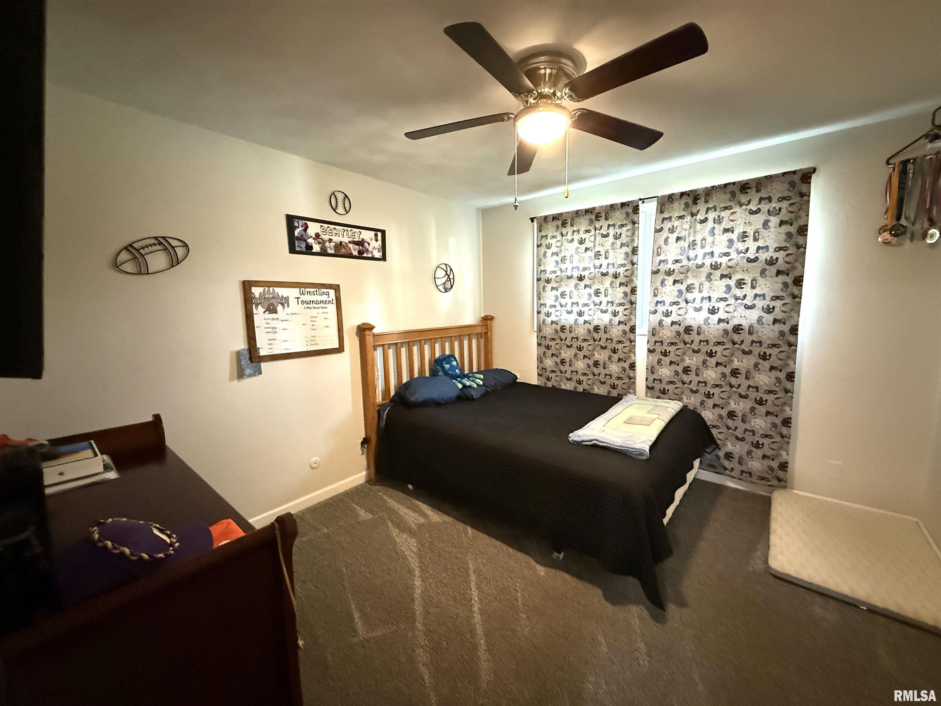 316 Gettysburg Drive, Canton, Illinois image 22