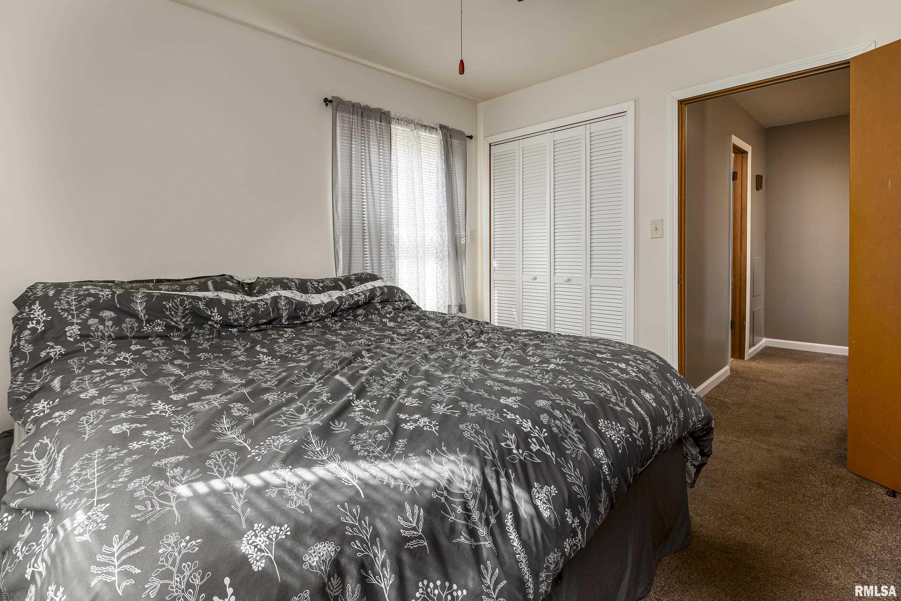 1395 N Cypress Drive, Carbondale, Illinois image 19