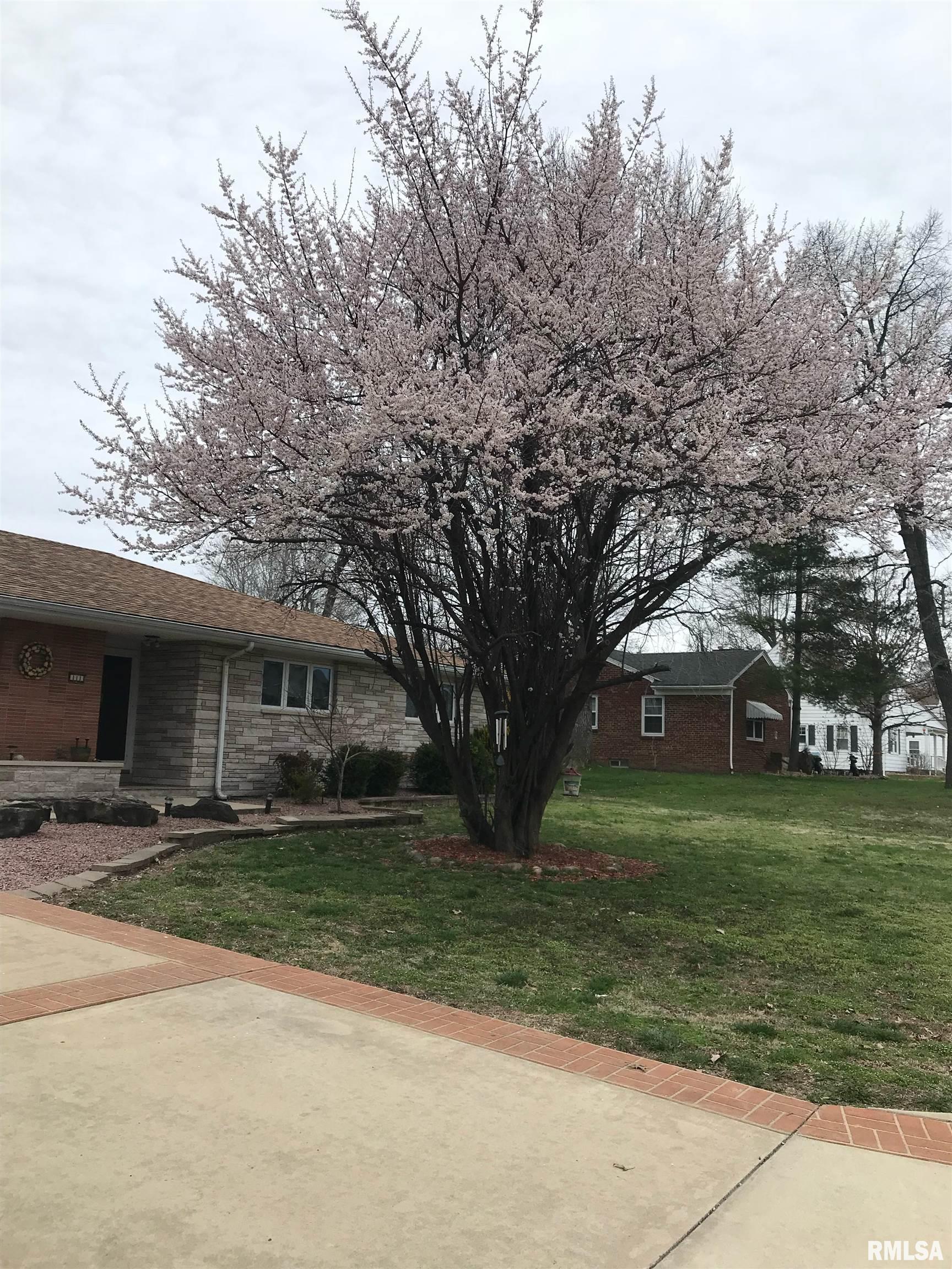 111 Panther Drive, Pinckneyville, Illinois image 27