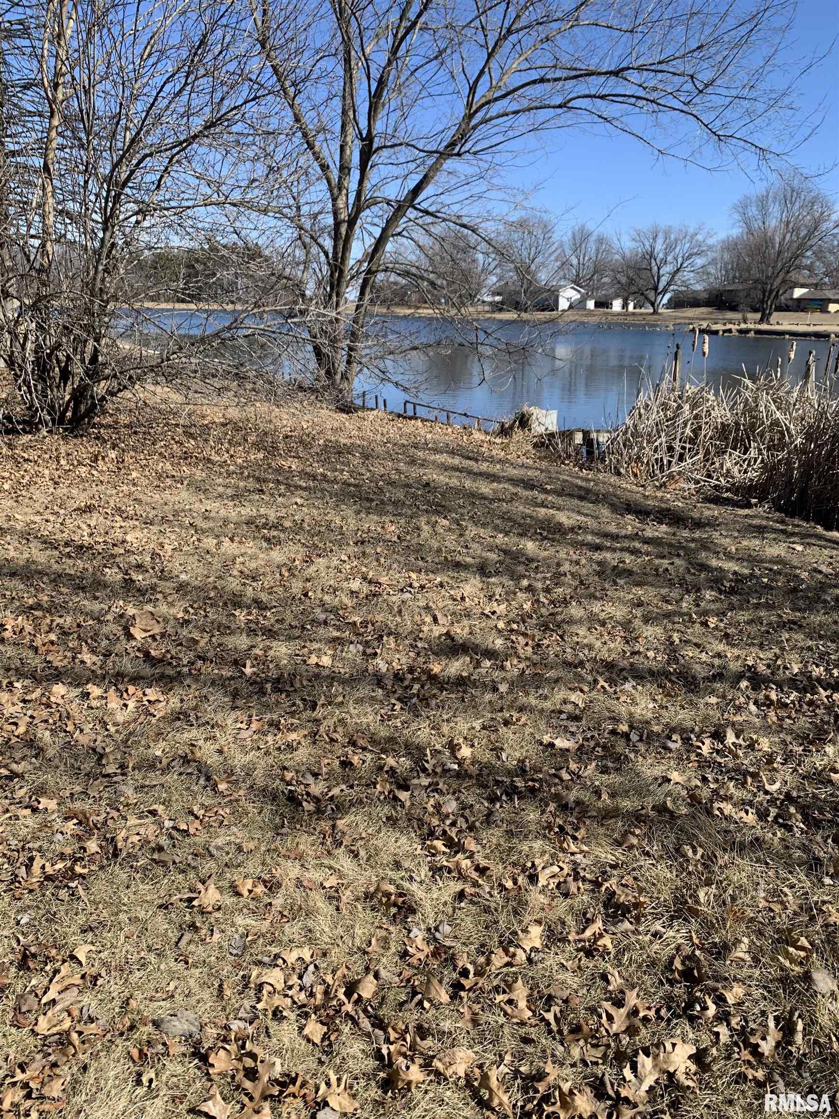 14 NE Hillcrest Drive, Bushnell, Illinois image 7