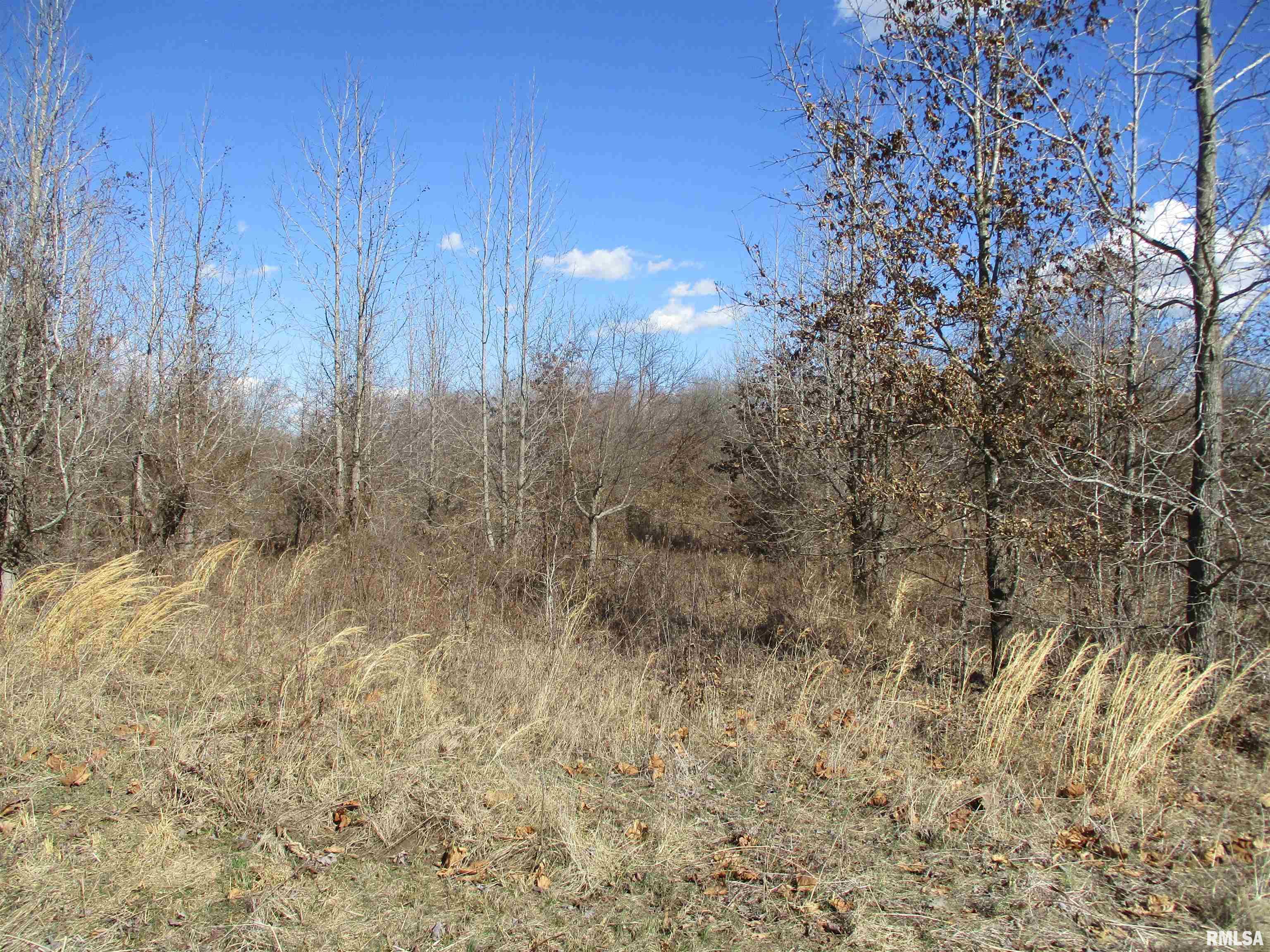 0000 Antioch Road, West Frankfort, Illinois image 12