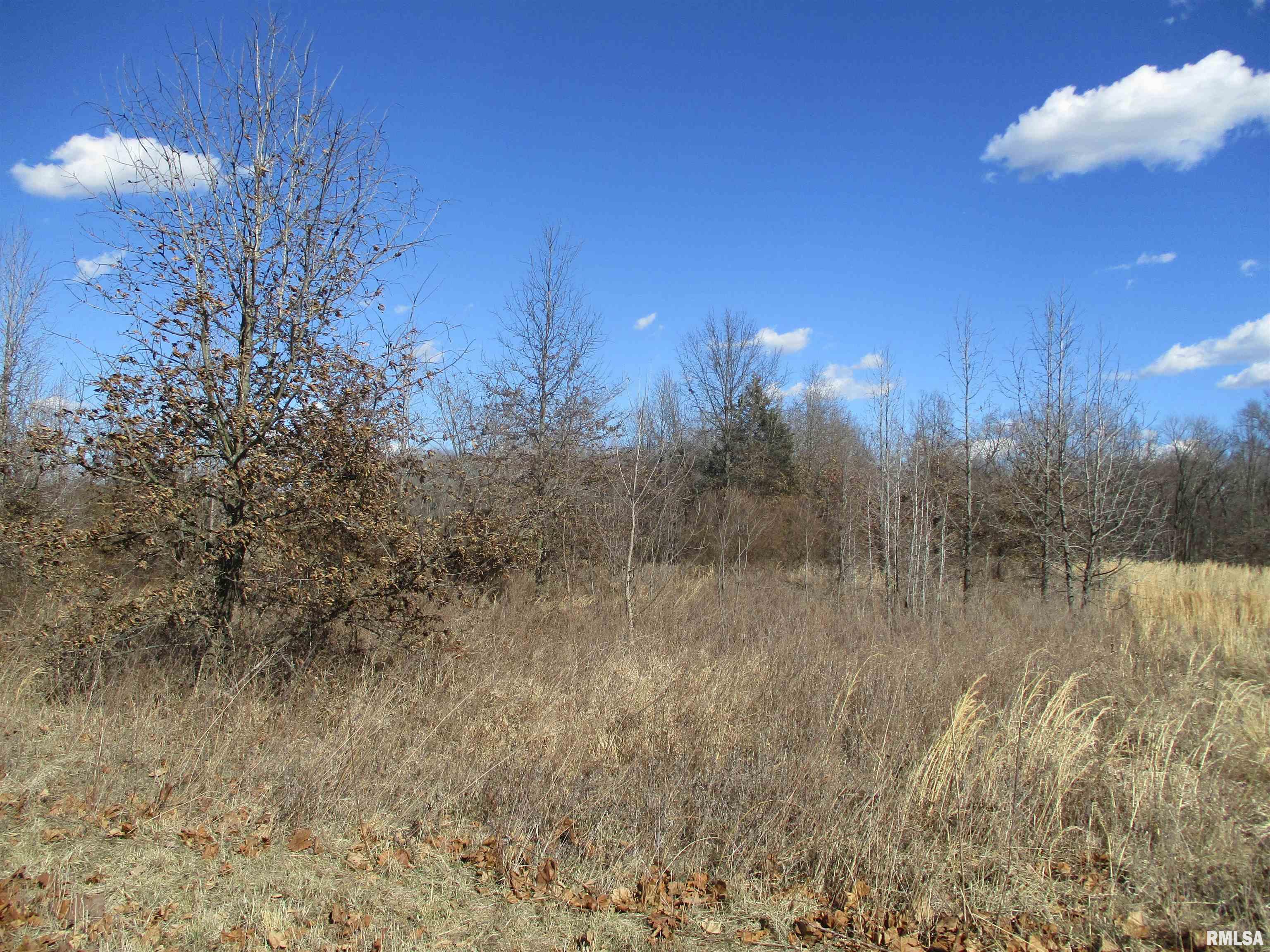0000 Antioch Road, West Frankfort, Illinois image 14