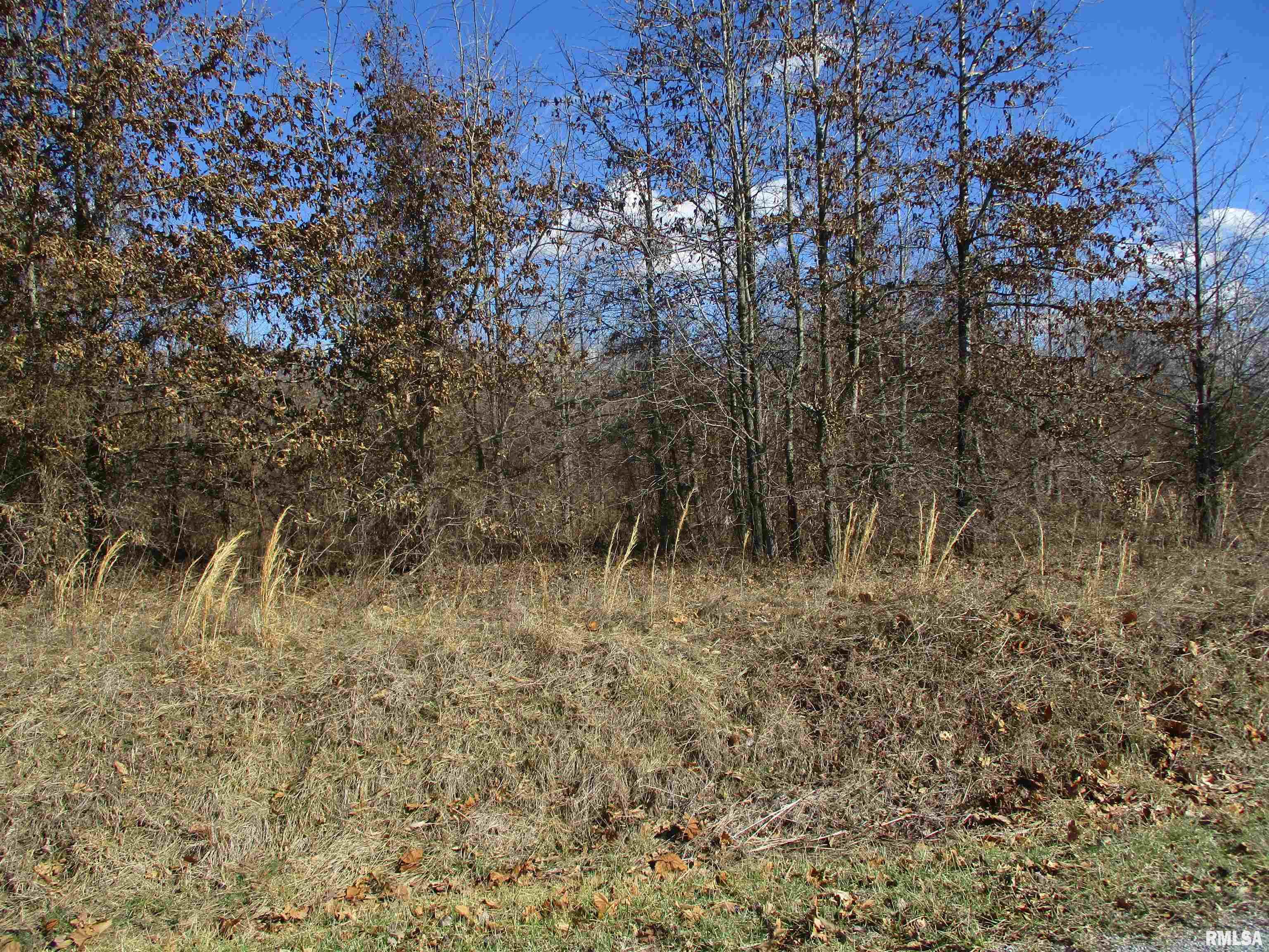 0000 Antioch Road, West Frankfort, Illinois image 3