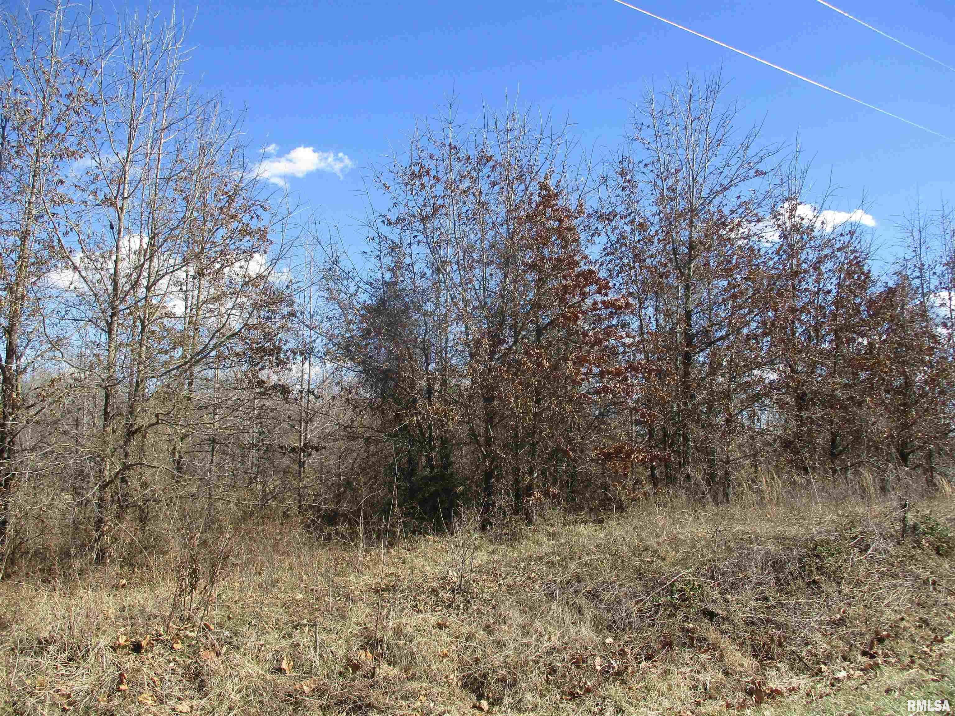 0000 Antioch Road, West Frankfort, Illinois image 1
