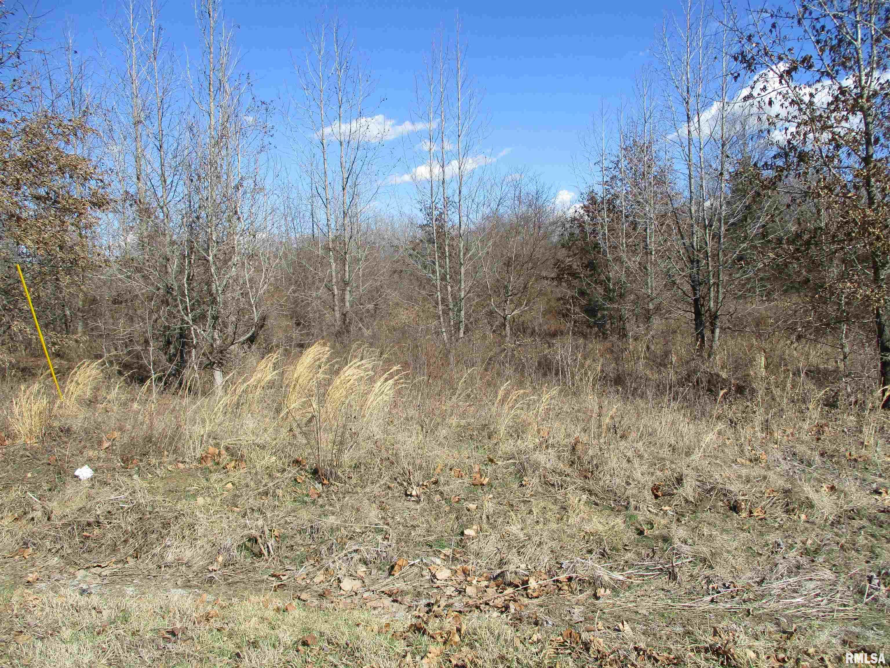 0000 Antioch Road, West Frankfort, Illinois image 6