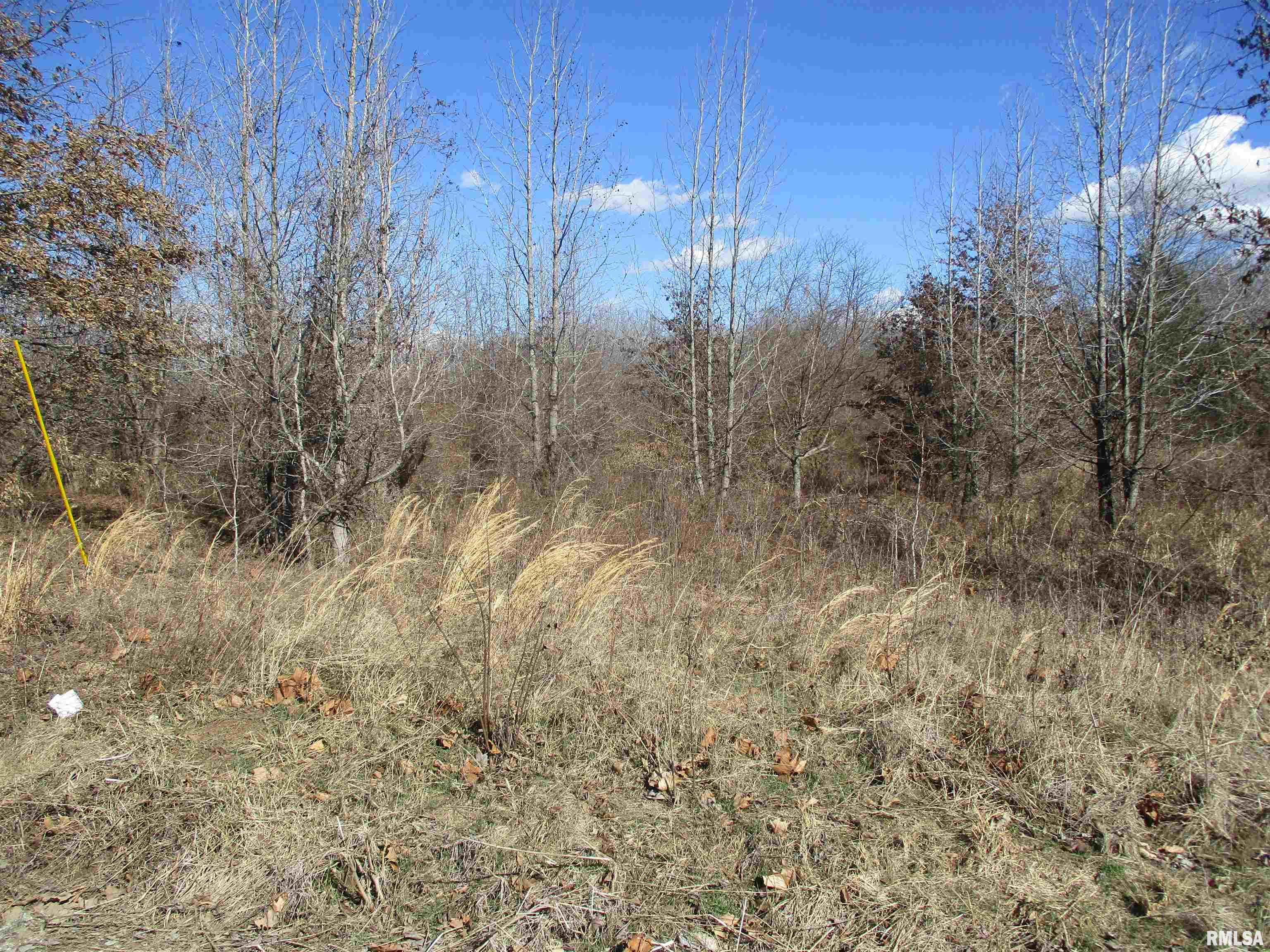 0000 Antioch Road, West Frankfort, Illinois image 9