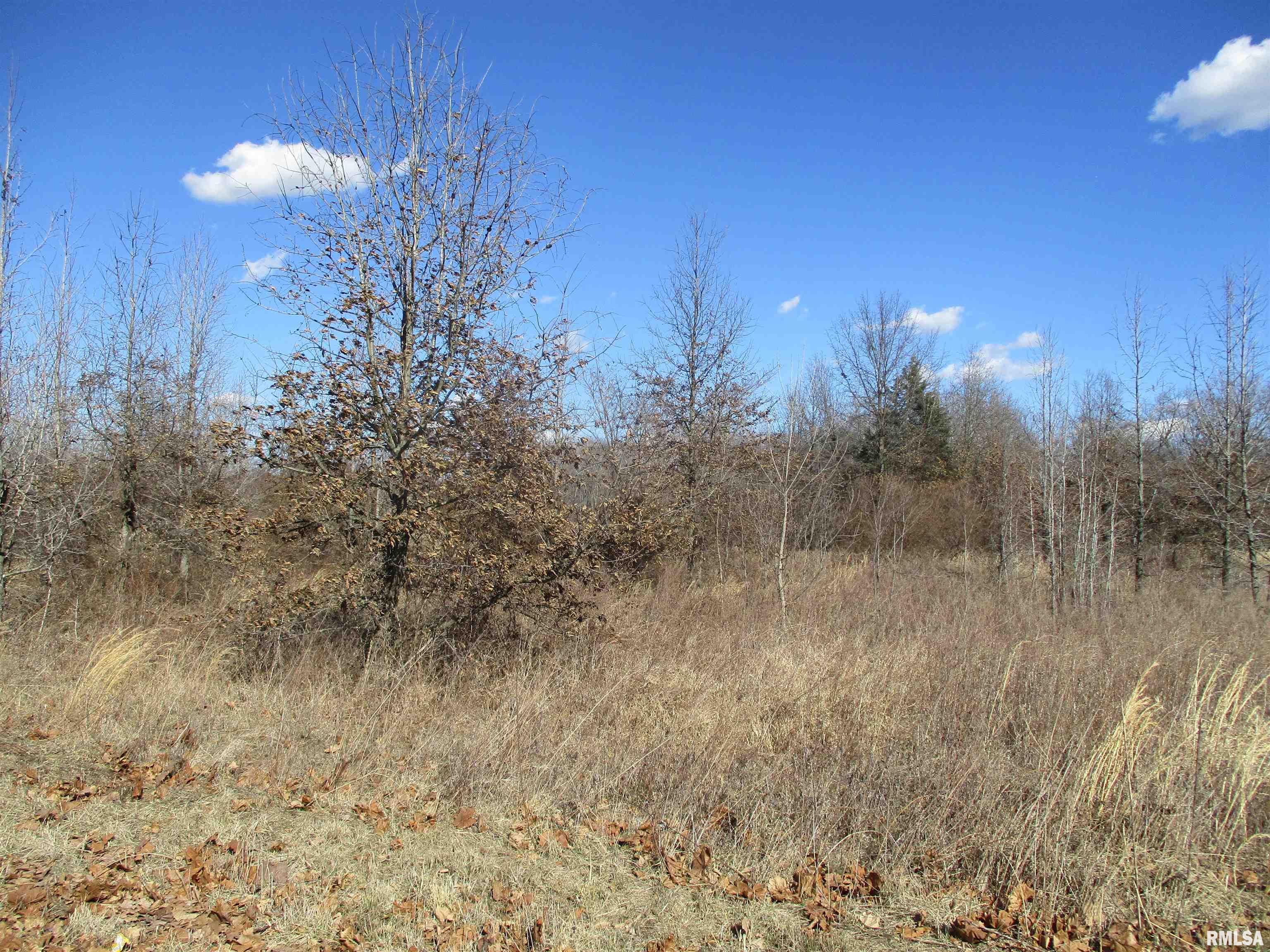 0000 Antioch Road, West Frankfort, Illinois image 13