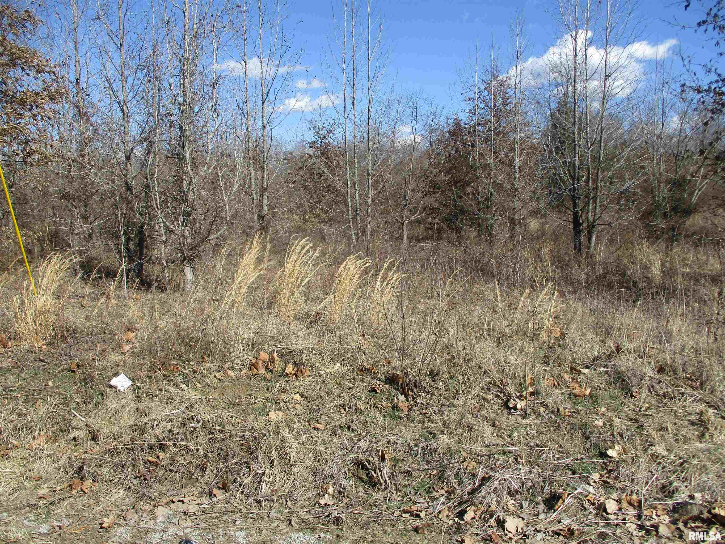 0000 Antioch Road, West Frankfort, Illinois image 8