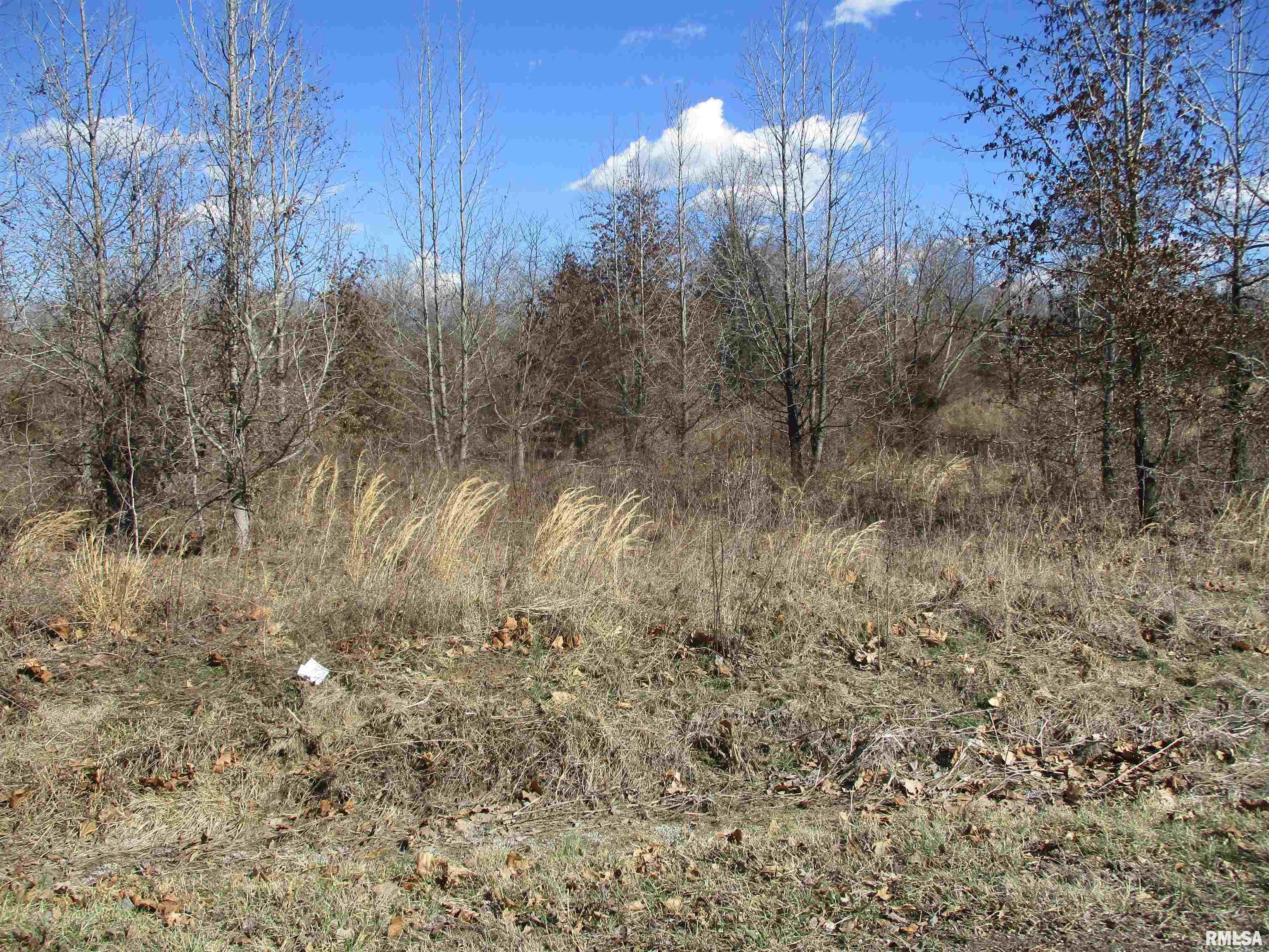 0000 Antioch Road, West Frankfort, Illinois image 5