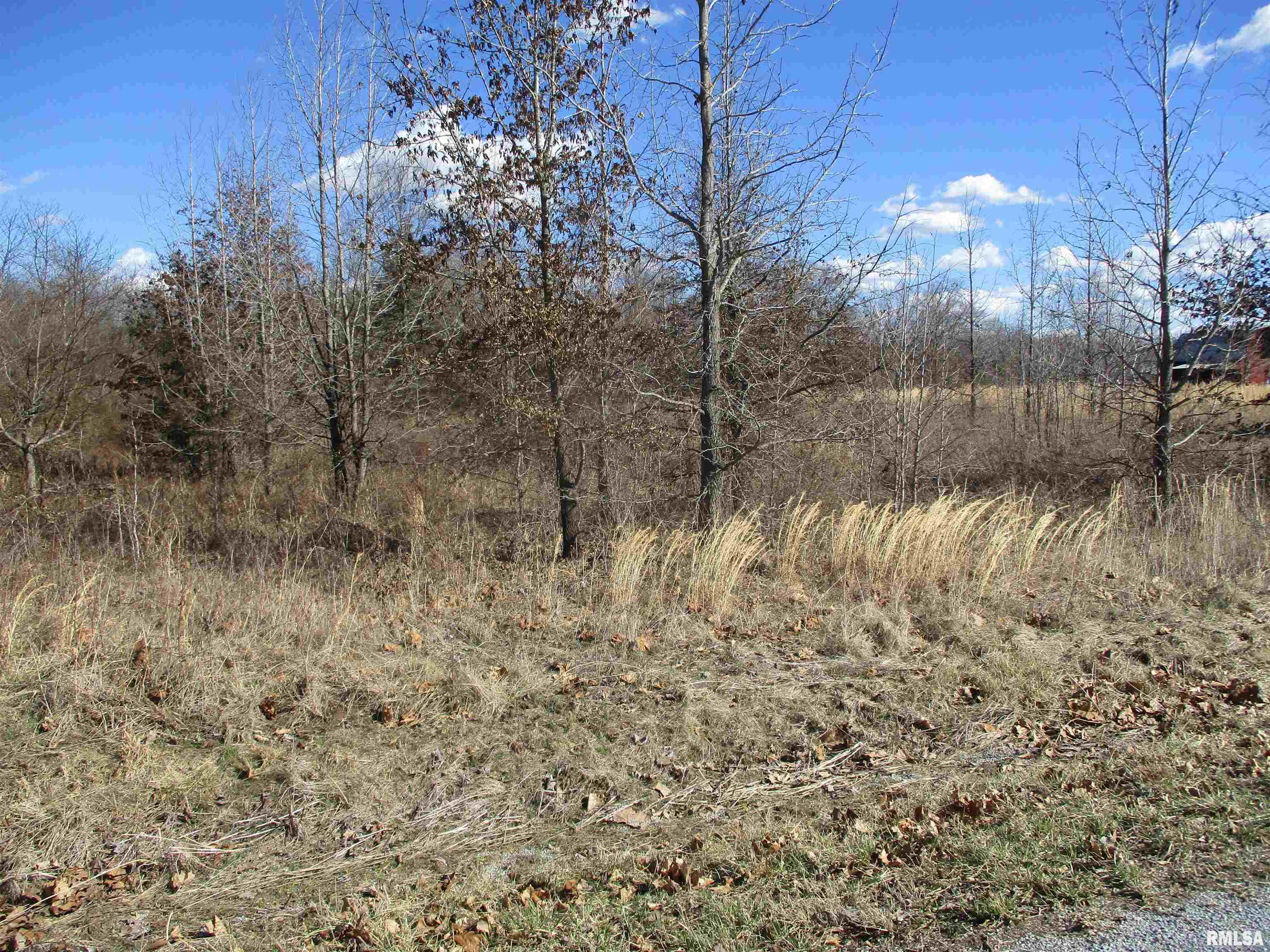 0000 Antioch Road, West Frankfort, Illinois image 7