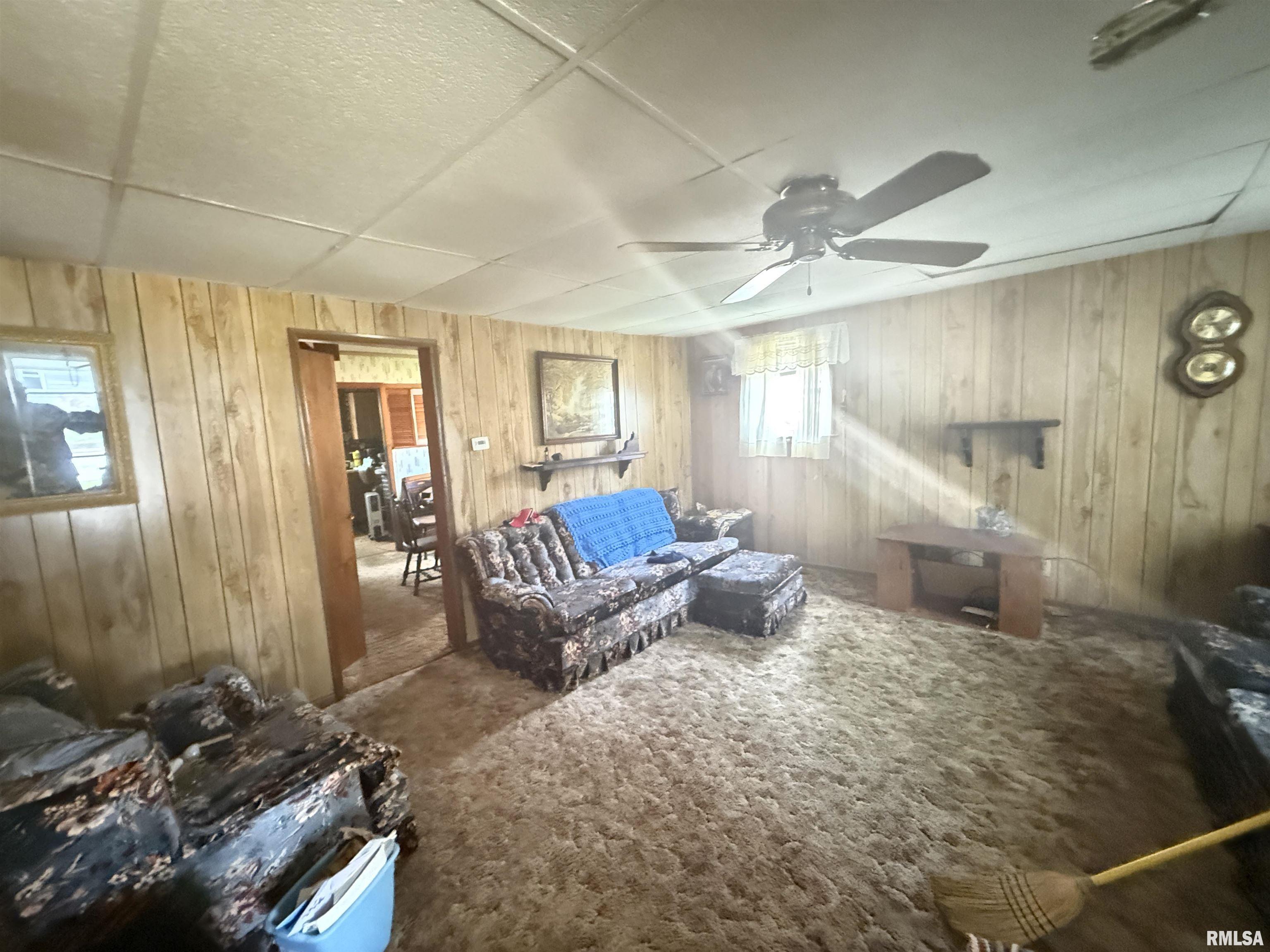 209 N Olive Street, Carterville, Illinois image 17