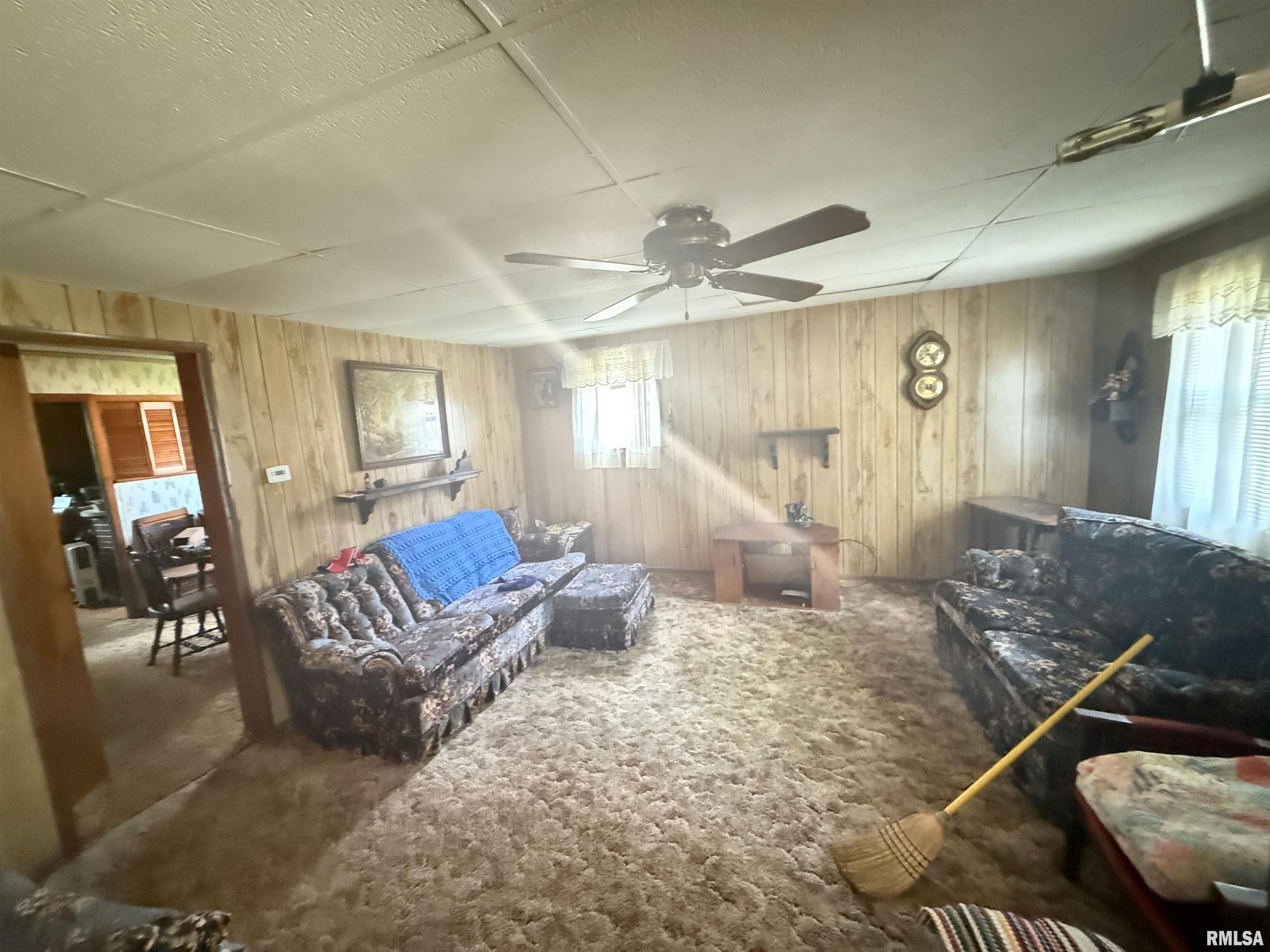 209 N Olive Street, Carterville, Illinois image 14