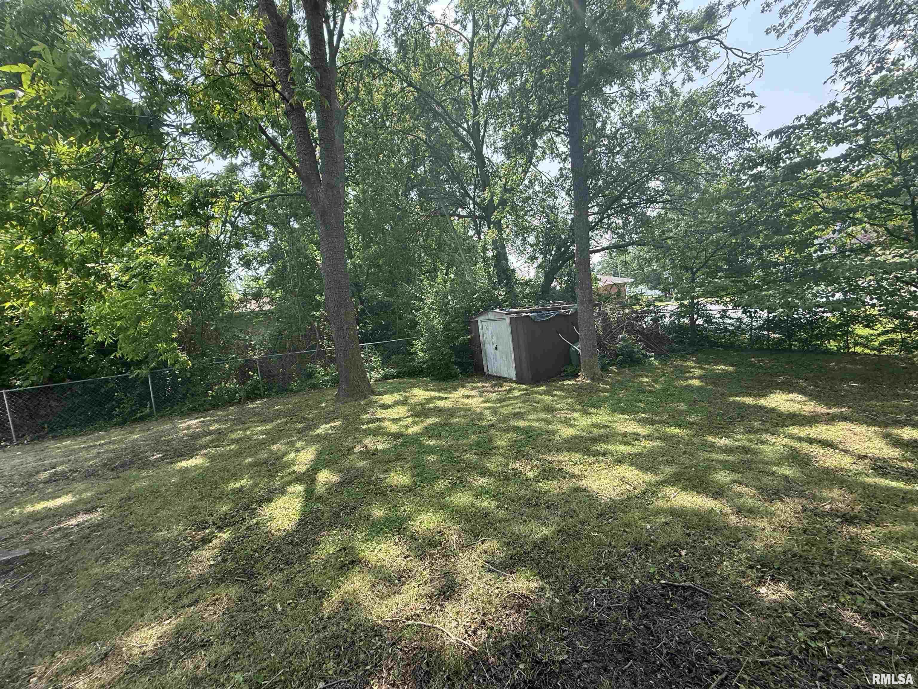 209 N Olive Street, Carterville, Illinois image 18