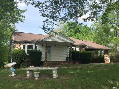 Photo of 306 ELM Street, Dongola, IL 62926 (MLS # PA1265765)