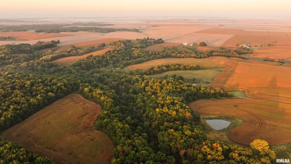 N DAILY RD, PRINCEVILLE, IL 61559 - Image a978526c3e0072ea53de23e89cd95a8e/3398617011