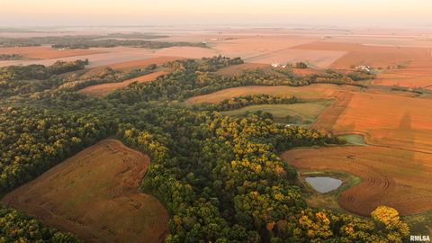 Vacant Land For Sale - 0000 N Daily Road<br/> Princeville, IL 61559