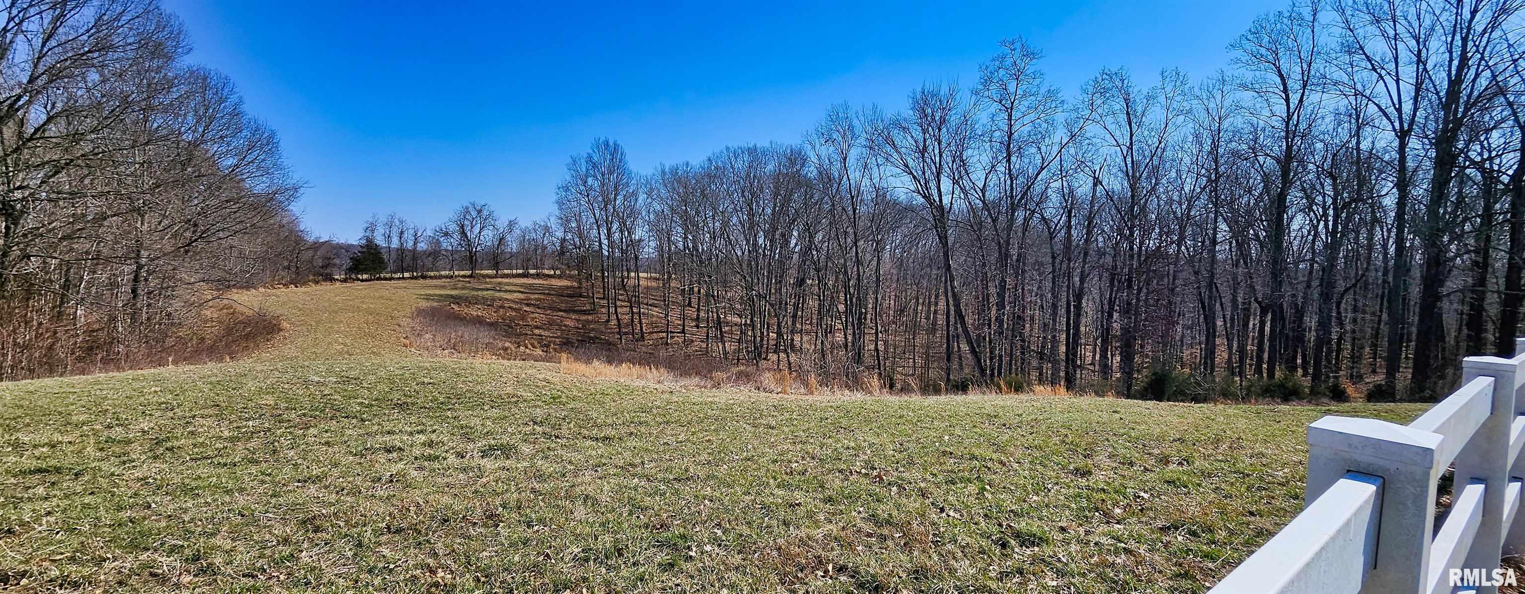 645 Springville Hill Road, Jonesboro, Illinois image 10