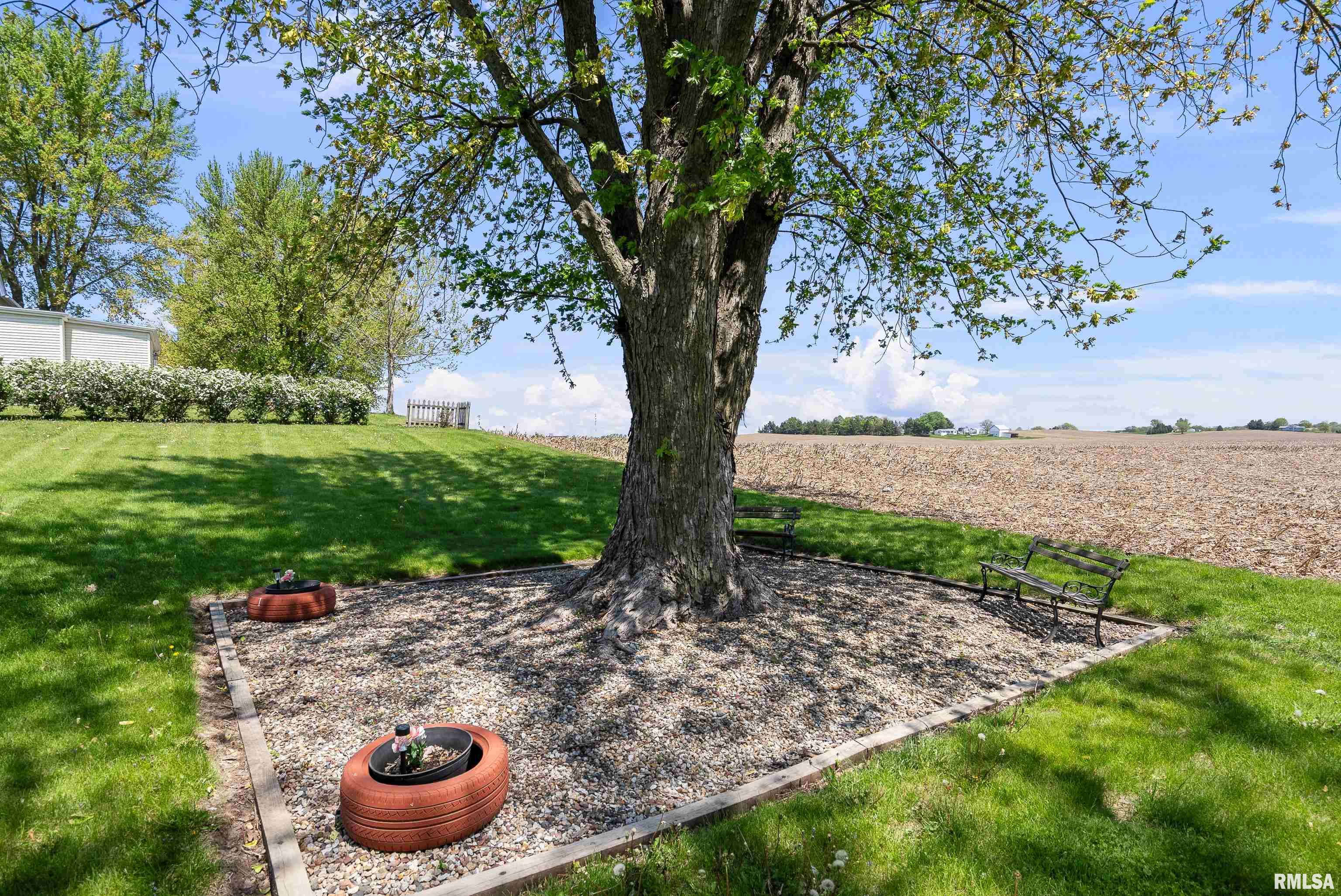 231 N 1st Street, Long Grove, Iowa image 13