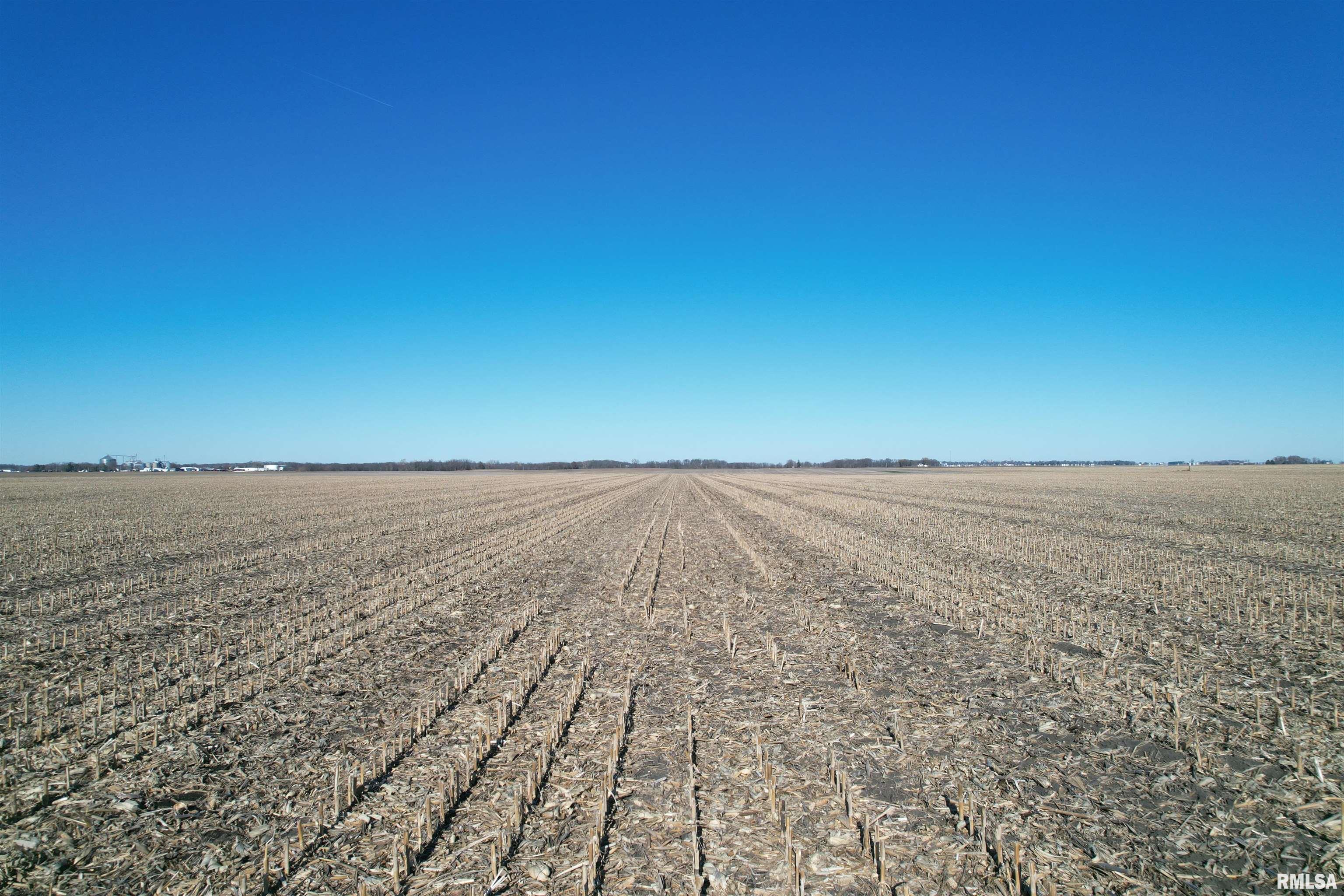 Buelah Road, Prentice, Illinois image 7