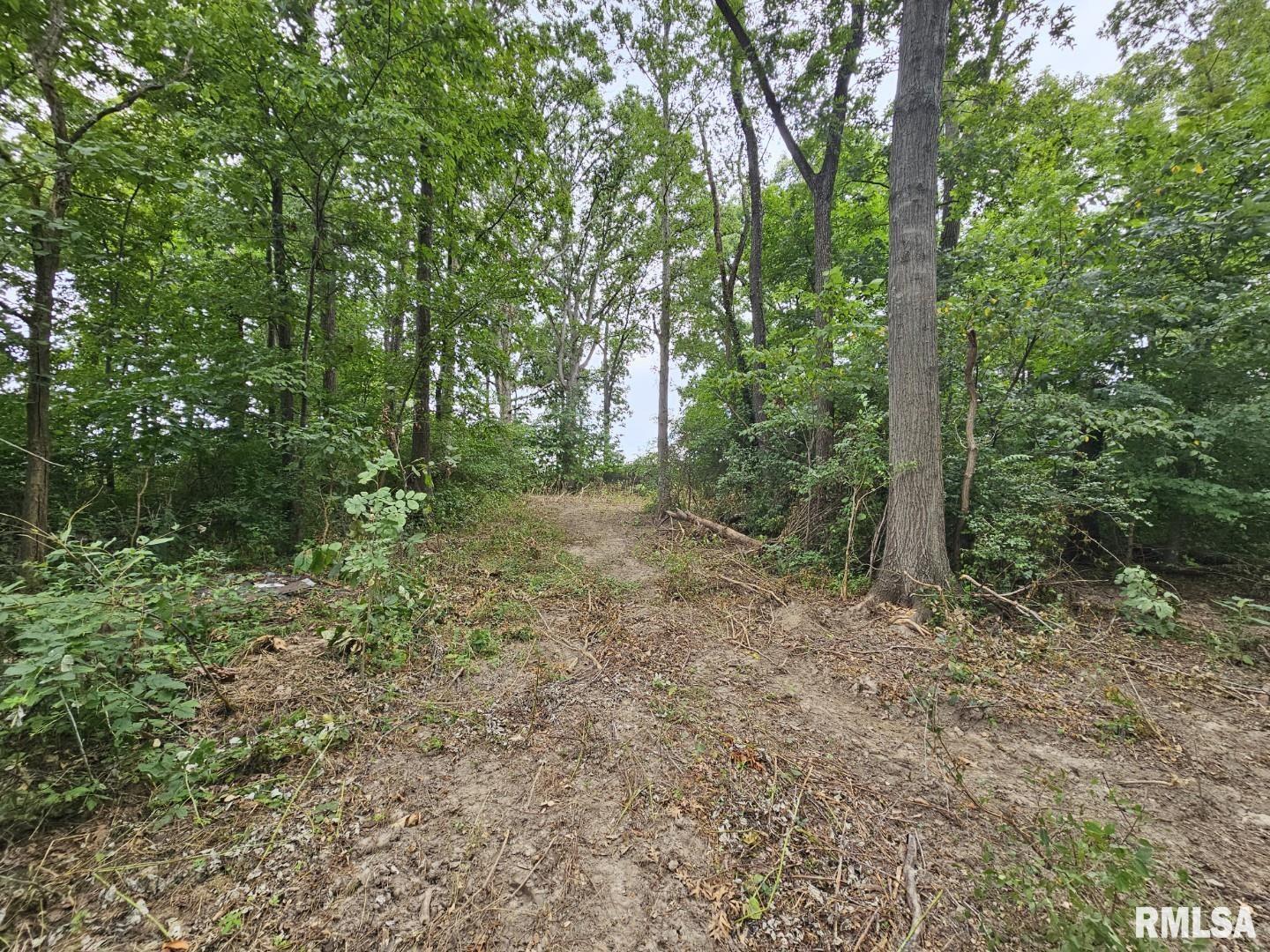 0000 N Cash Lane, Waltonville, Illinois image 9