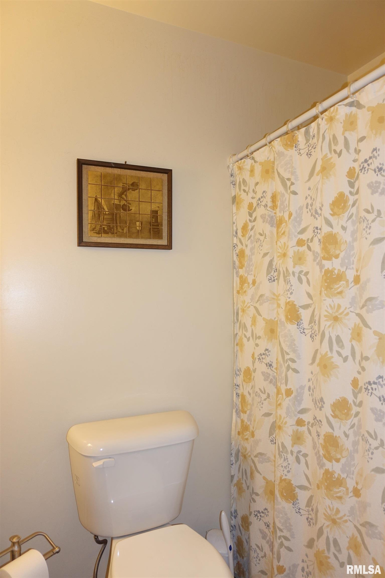 108 S Union Street, Wataga, Illinois image 24
