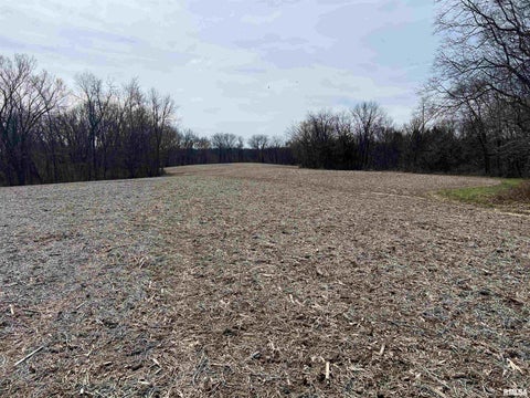Vacant Land For Sale - E State Route 95<br/> Marietta, IL 61459