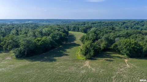 Vacant Land For Sale - E State Route 95<br/> Marietta, IL 61459