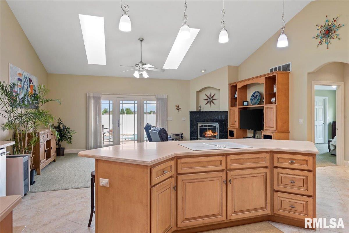4306 Castle Pines Drive, Springfield, Illinois image 7
