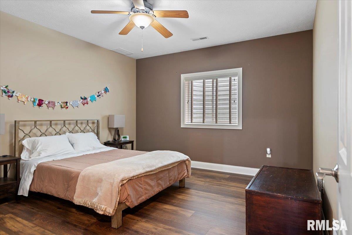 4306 Castle Pines Drive, Springfield, Illinois image 42