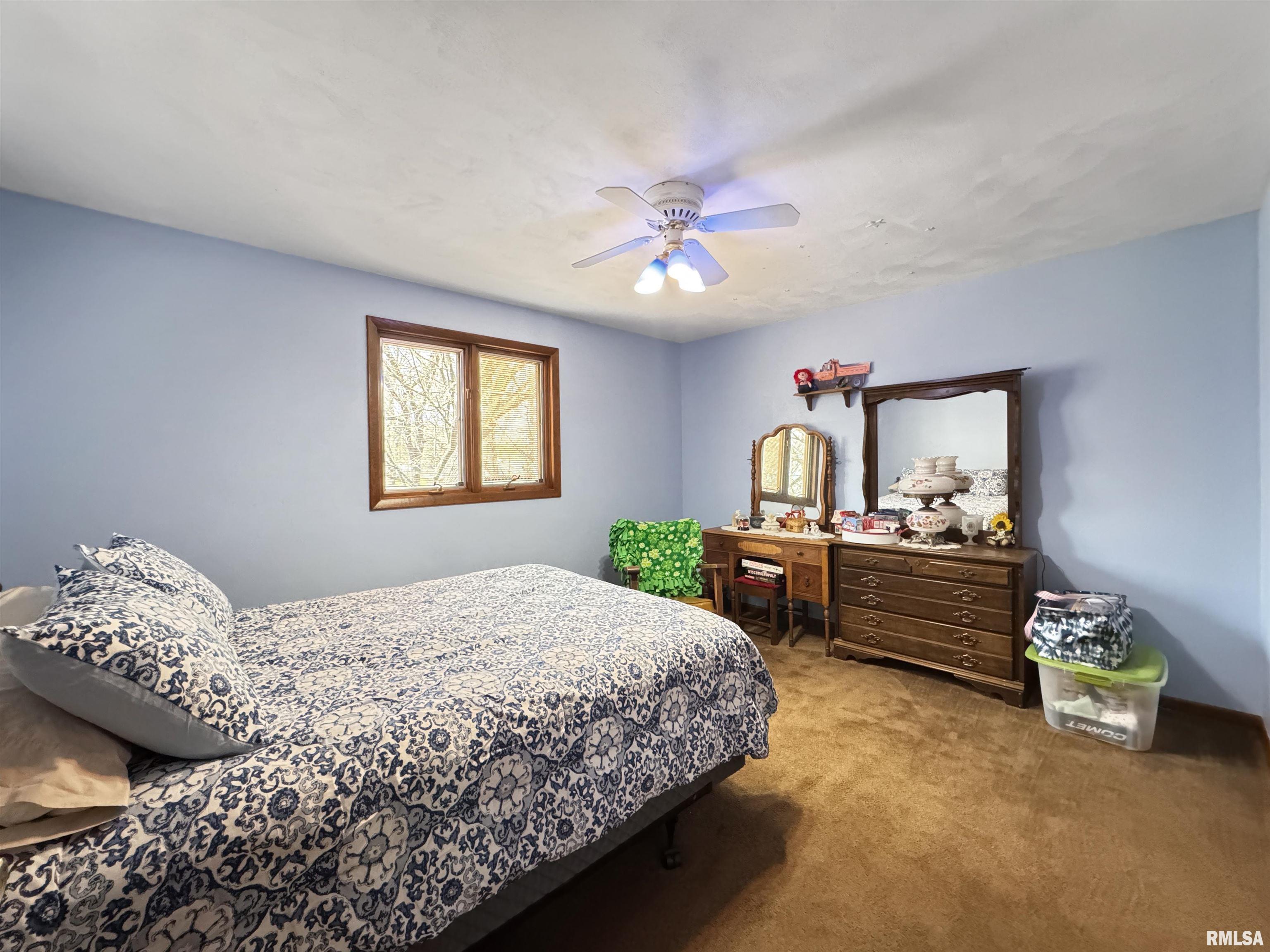 4619 W Carol Court, Bartonville, Illinois image 25