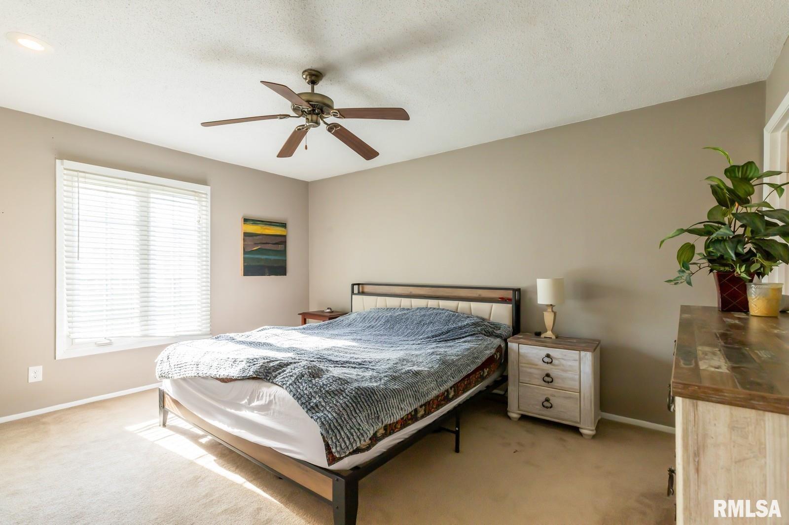 2885 Willow Drive, Bettendorf, Iowa image 20