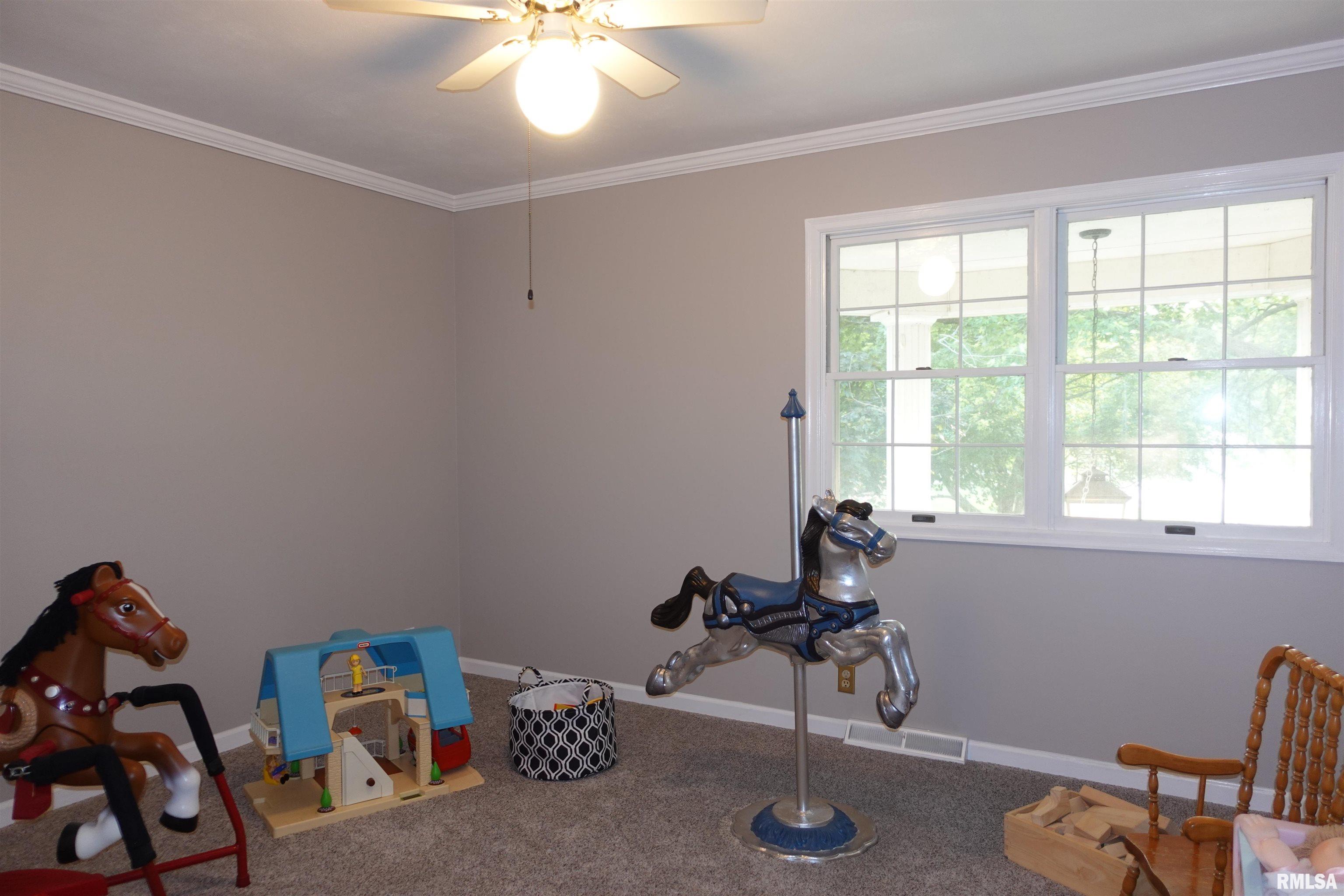 30 Hackberry Circle, Galesburg, Illinois image 43
