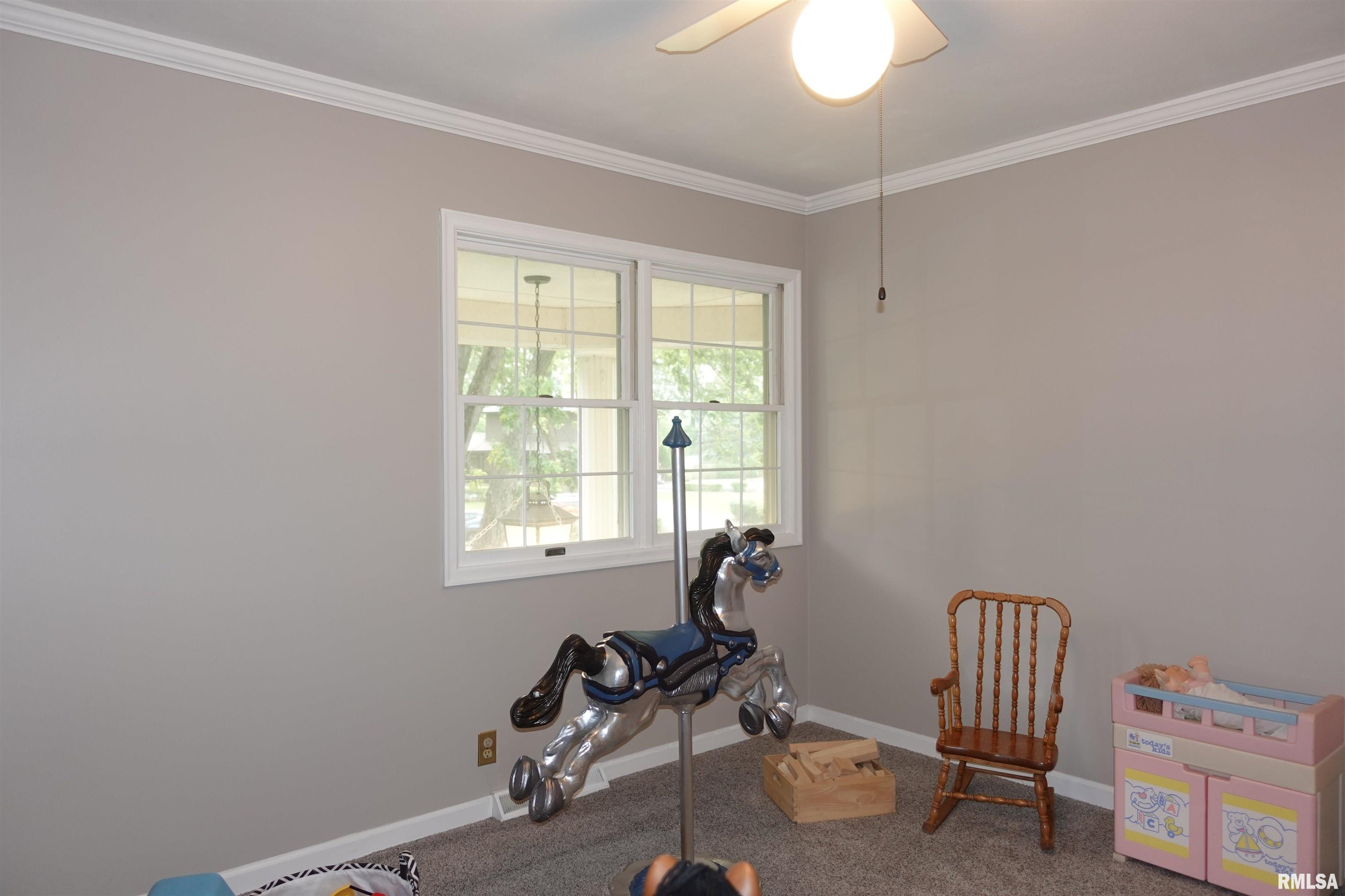 30 Hackberry Circle, Galesburg, Illinois image 45